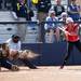 Michigan sophomore Lauren Sweet catches a ball as dirt flies in the game against Louisiana-Lafayette on Saturday, May 25. Daniel Brenner I AnnArbor.com
